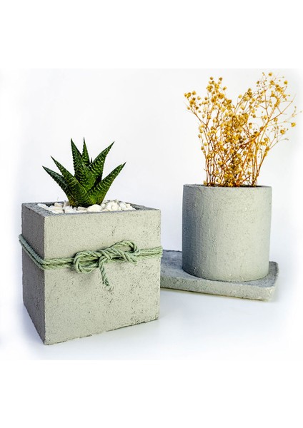 2'li Beton Efekt Serisi Set Saksıda Haworthia Sukulent fiyatları
