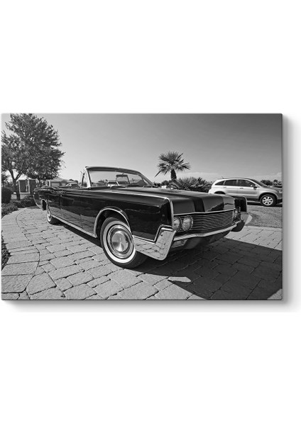Siyah Beyaz Araba Tablosu