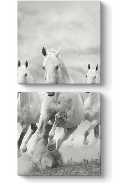 Koşan Beyaz At Tablosu