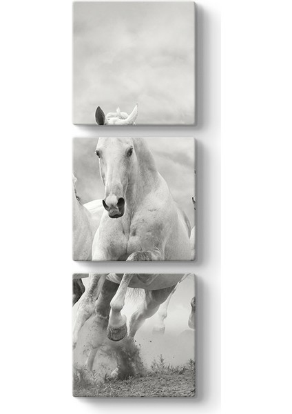 Koşan Beyaz At Tablosu