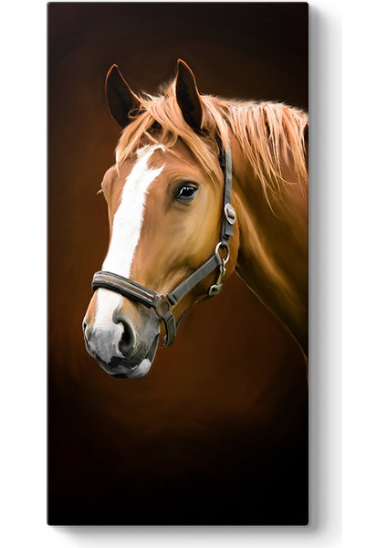 Kahverengi At Profil Tablosu