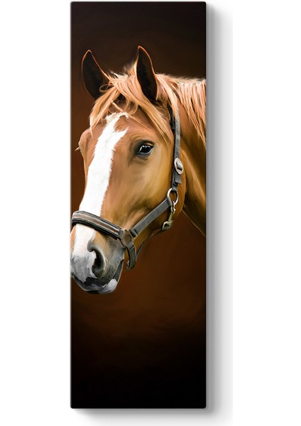 Kahverengi At Profil Tablosu