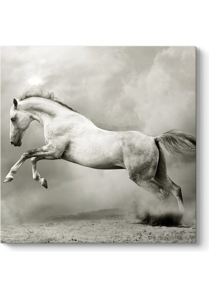 Şahlanan Beyaz At Tablosu