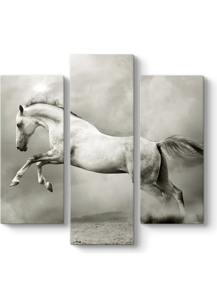 Şahlanan Beyaz At Tablosu