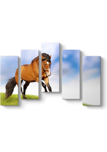 Kahverengi At Tablosu