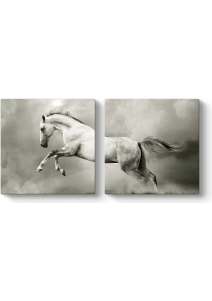 Şahlanan Beyaz At Tablosu