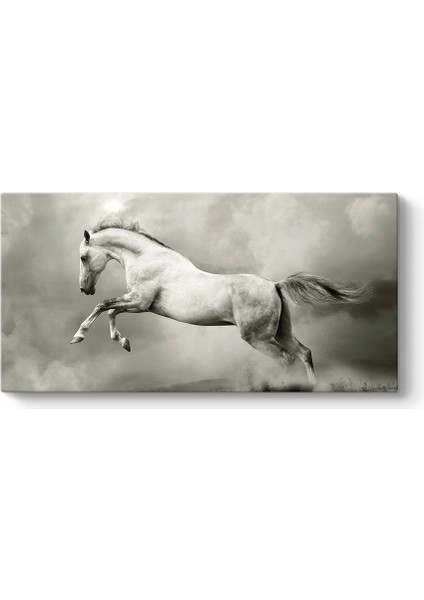 Şahlanan Beyaz At Tablosu