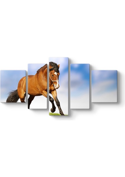 Kahverengi At Tablosu