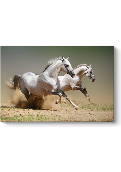 Kumda Koşan Beyaz Atlar Tablosu