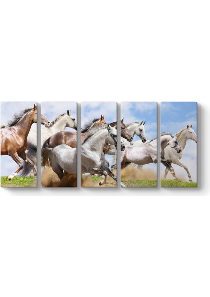 Atlar Panorama Tablo