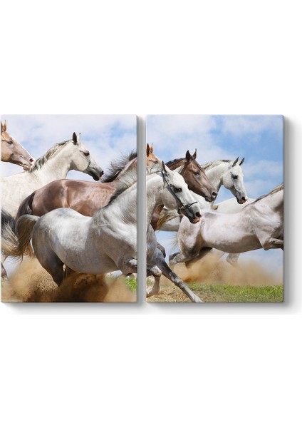 Atlar Panorama Tablo