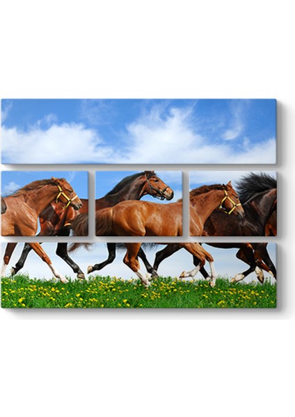 Kahverengi Atlar Panorama Tablosu