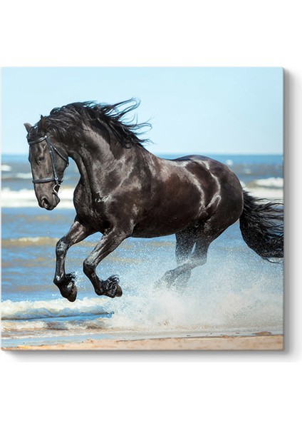 Suda Koşan Siyah At Tablosu
