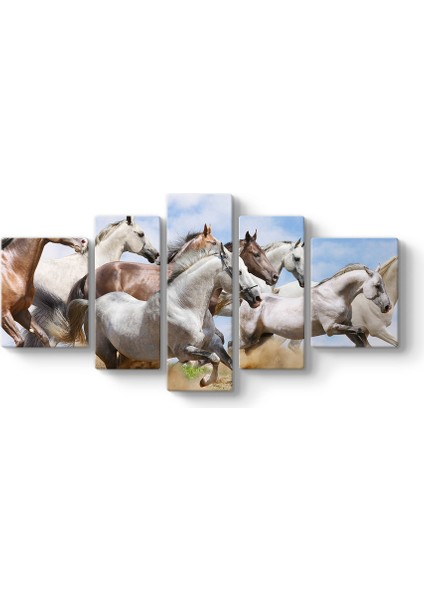 Atlar Panorama Tablo