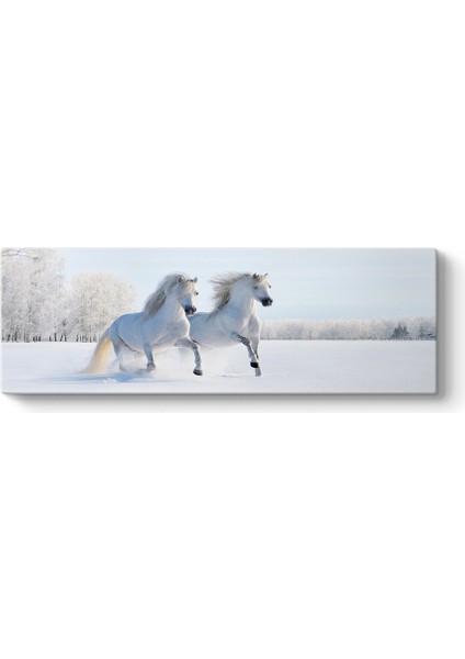 Beyaz Atlar Panorama Tablo