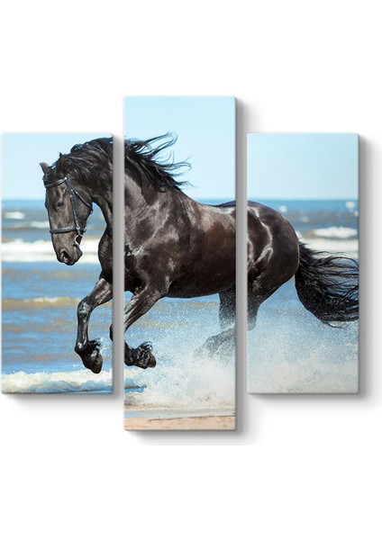 Suda Koşan Siyah At Tablosu