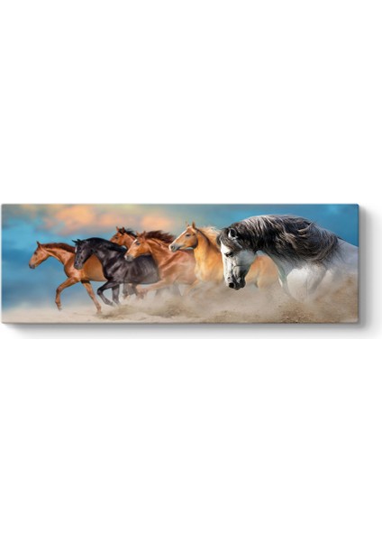 Kumda At Sürüsü Kanvas Tablo