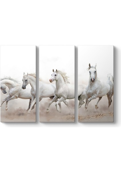 Panorama Beyaz Koşan Atlar