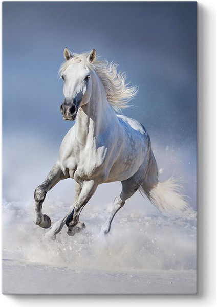 Koşan Yalnız At Tablosu