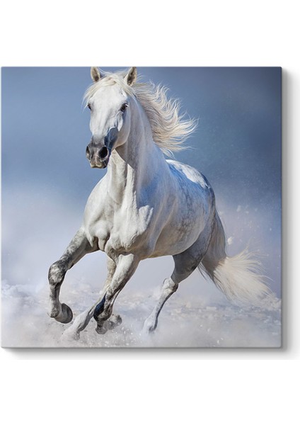 Koşan Yalnız At Tablosu