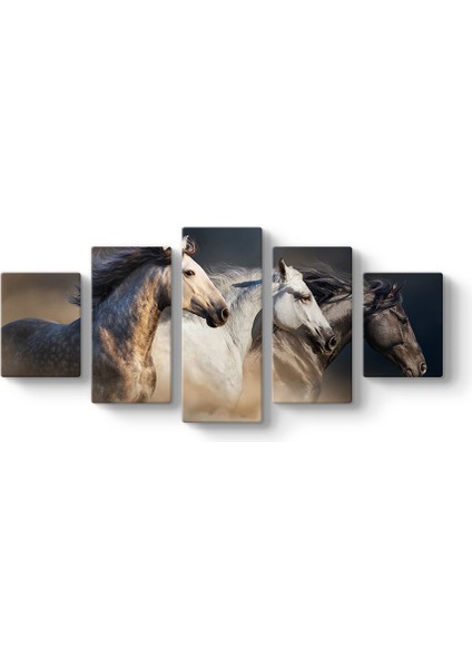 Koşan Arap Atları Tablosu