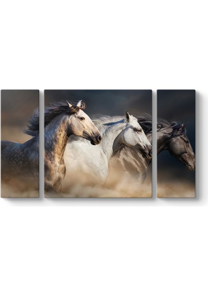 Koşan Arap Atları Tablosu