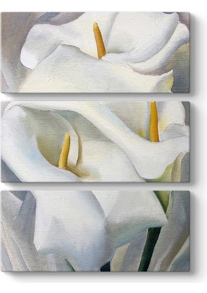 Georgia Okeeffe - Flower Tablosu