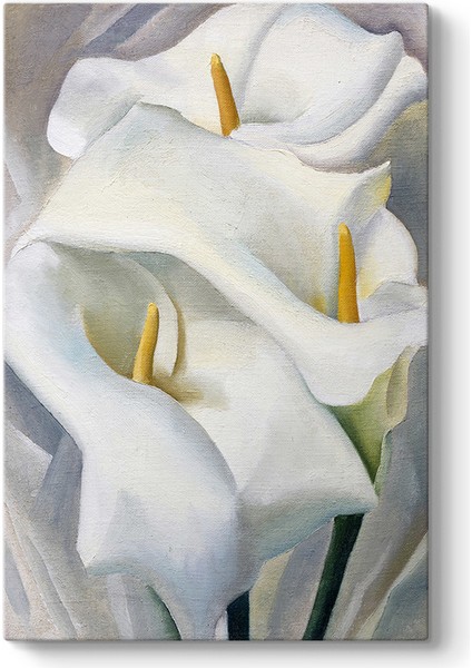Georgia Okeeffe - Flower Tablosu