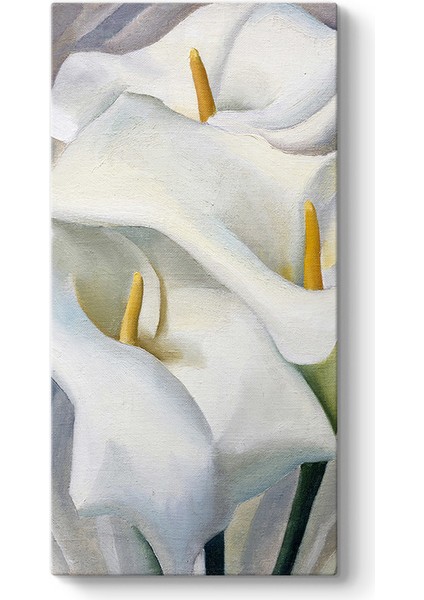 Georgia Okeeffe - Flower Tablosu