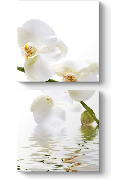 Orkide Çiçeği Tablosu