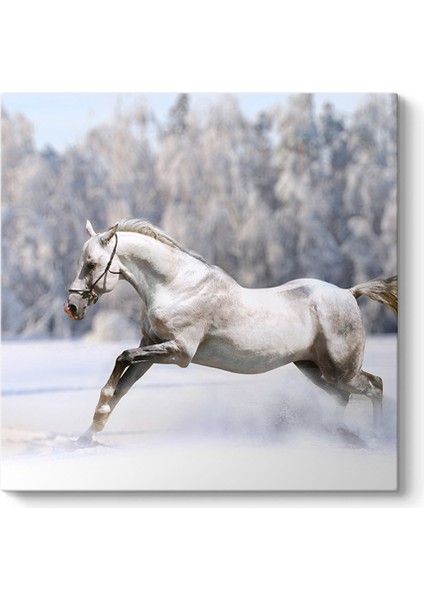Karda Koşan Beyaz At Tablosu