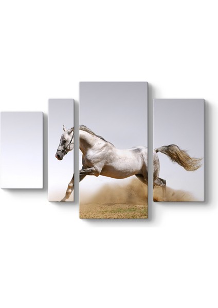 Kumda Koşan At Tablosu