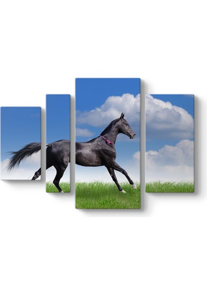 Arap Çim Atı Tablosu