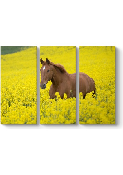 Tarladaki At Tablosu