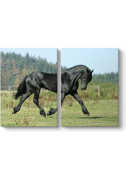 Siyah Arap Atı Tablosu