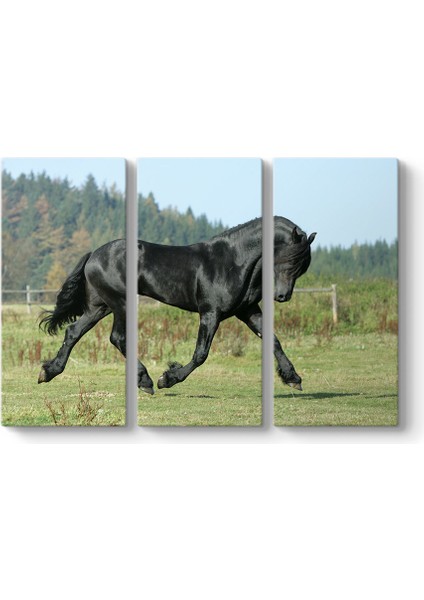 Siyah Arap Atı Tablosu