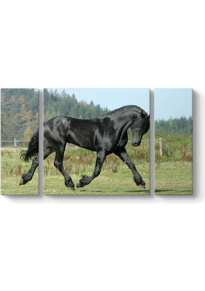 Siyah Arap Atı Tablosu