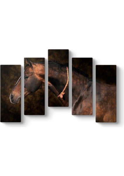 Yağlıboya At Tablosu