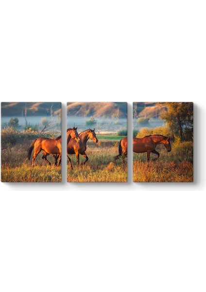 Yabani At Sürüsü Tablosu