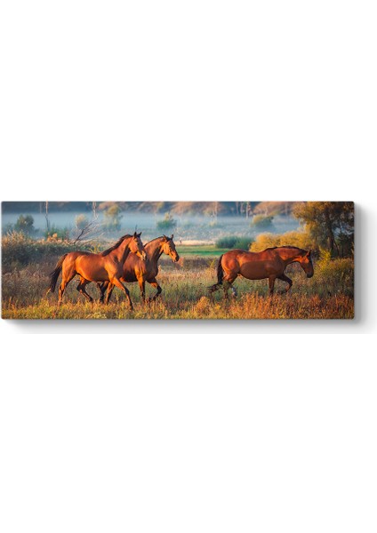 Yabani At Sürüsü Tablosu