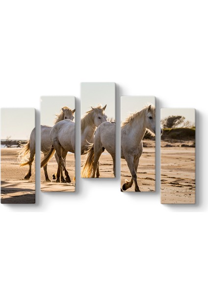 Çölde Beyaz At Sürüsü Tablosu