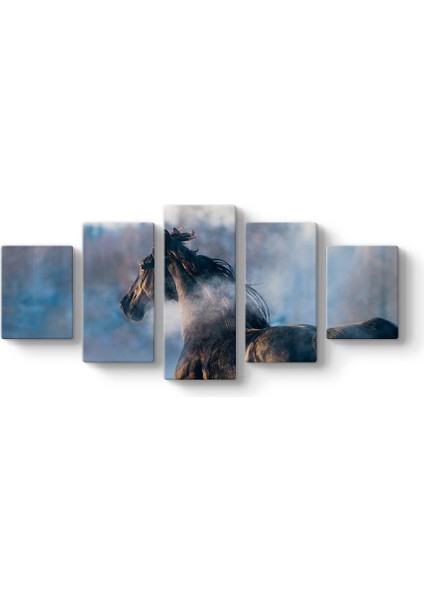 Asil Siyah At Tablosu