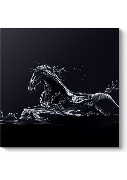 Soyut Siyah At Tablosu