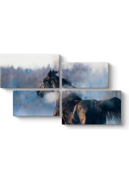 Asil Siyah At Tablosu