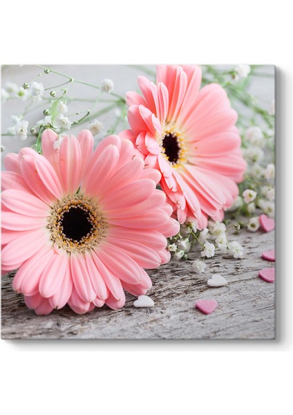 Pembe Gerbera Çiçeği Tablosu