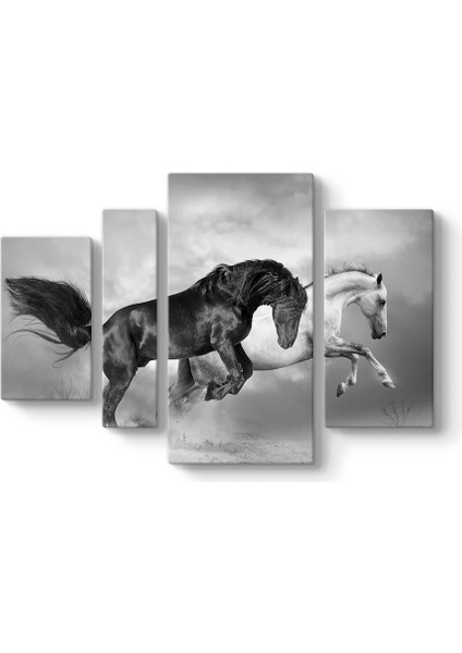 Siyah ve Beyaz At Tablosu