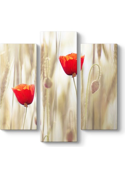 Gelincik Çiçeği Tablosu