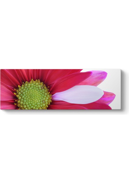 Flower Close Tablosu