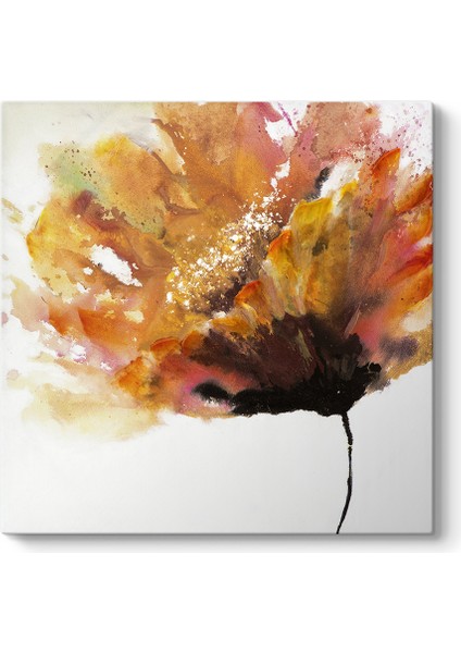 Turuncu Gelincik Tablosu