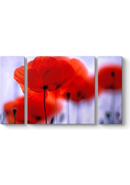 Kırmızı Gelincikler Tablosu